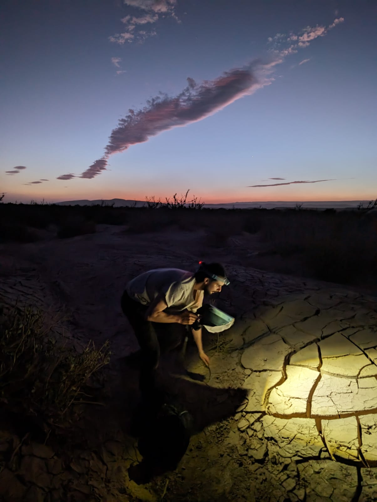 Custom herping expedition planning