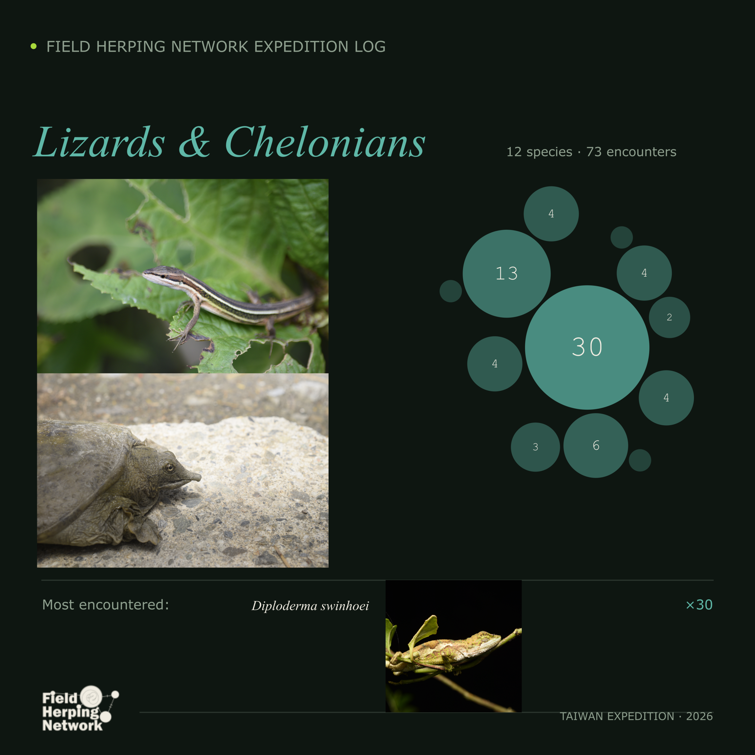 Trip summary of lizards and chelonians recorded